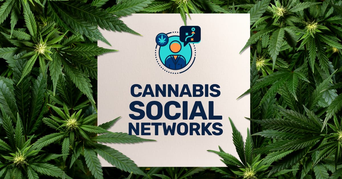 cannabis business social network